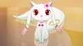 /album/%c2%bfque-/qb-jewelpet-jpg/